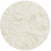 Assiette Gold Cell - In Situ
