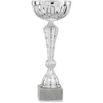 Set van 2 - Prijzenbeker / Trofee 25 Cm Eco Klassiek Met Marmer Sokkel.,