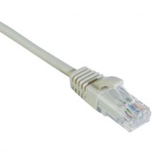 Cordon RJ45 catégorie 6 U/UTP LSOH snagless - DEXLAN