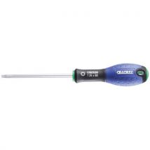 Schroevendraaier voor Torx schroeven - Facom Expert