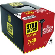 Vis penture noir à tête large bombée Torx - Starblock