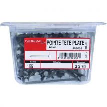 Pointe tête plate en acier - Norail