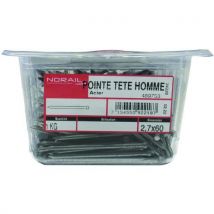 Pointe tête homme en acier - Norail