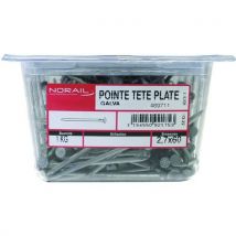 Pointe tête plate galvanisé - Norail