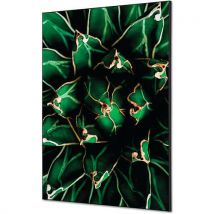 Wanddecoratie Textiel SET Cactus - Showdown