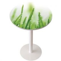 Table de réunion haute Easy Ø 80 cm plateau coloris Décor - Manutan Expert