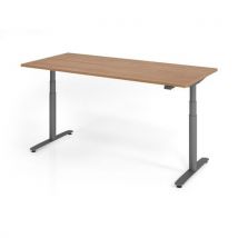 Zit- en stabureau elektrisch 180x80cm XDLR19 - Hammerbacher