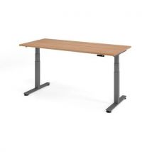 Bureau assis-debout série XDSM - 180x80 cm - Hammerbacher