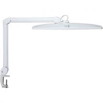 Lampe de bureau LED Explore Blanc