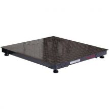 Plateforme au sol DF Floor 3000 kg / 1000 g - Ohaus