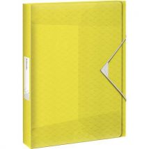 Documentenbox 40 mm, Colour'Ice - Esselte