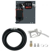 Pompe à palettes à pistolet manuel aluminium 60 l/min-230 V - Pressol