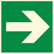 Novap - Panneau Photoluminescent - Flèche Directionnelle - Rigide