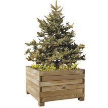 Benito - Blumenkasten Aus Unbehandeltem Holz