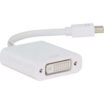 Convertisseur Actif Mini Dp,