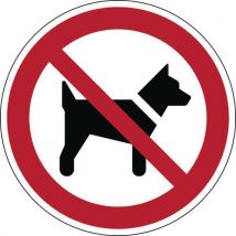 Brady - Verbotsschild - Hunde Verboten Steif