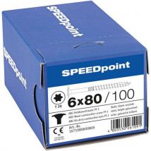 Speedpoint - 100 Tellerkopfschrauben Mit Tx-antrieb Und Teilgewinde 6x80,