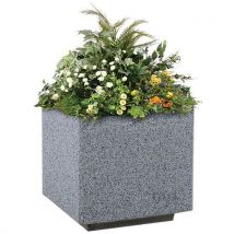 Niedriger Blumenkasten Kube Aus Beton,