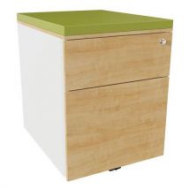 Clen - Caisson Mobile 2 Tiroirs Acier Blanc/chêne Auth./fougère,