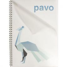 100 Stücke Einbanddeckel Aus Pp, A4, 280 Μm, Transparent - Pavo,