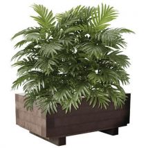 Blumenkasten Gar,