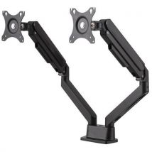 Bras Porte-écran Articulé Ergonomique Double Noir, - Manutan