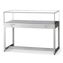 Tischvitrine Auf Füßen - 120 X 60 X 92 Cm Silber,