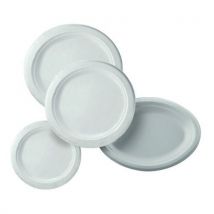 Biodegradable plate white