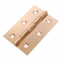 Steel hinge 100 x 67mm brass plated