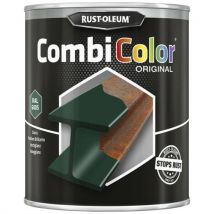 Combicolor primer and topcoat 0.75 l moss green