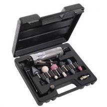 Mini grinder with grinding wheels in case