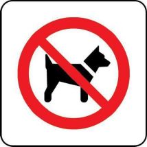 Self adhesive vinyl no dogs pictorial sign hxw 100x100mm