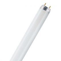 Lumilux g13 fluorescent tube 18 w - 18000 hours type: 865
