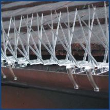 Birdban spikes pack of 6