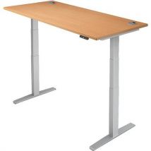 Sit stand desk pro 2+ - wxd 120x70cm - silver+beech