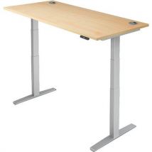 Sit stand desk pro 2+ - wxd 180x80cm - silver+maple