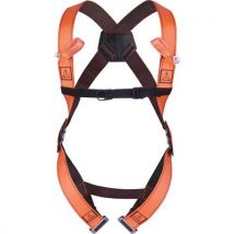 2-point fall arrest harness size L