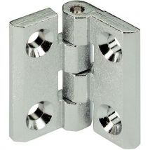 Chrome hinge 50x50 m6 countersunk holes