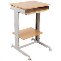 Twin 6820 computer workstation beech