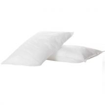 Classic Oil Only Pillow 38cm x 23cm by Lubetech