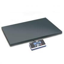Kern eoe 300k100xl platform scale cap. 300 kg read. 100 g