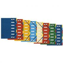 Set of 8 asstd gloss card organisers with window 7 sections