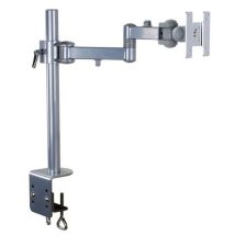 Adjustable mount for screen