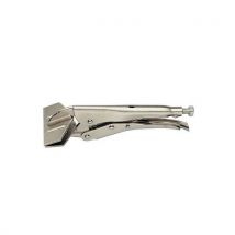 Pincers large jaws