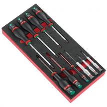 Foam module with 10 protwist screwdrivers