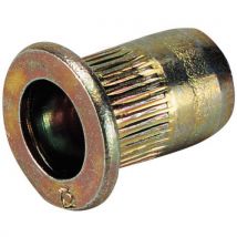 Rivkle blind rivet nut flat head steel m10