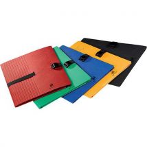 10 clip'n go a4 expandable folders with strap assorted