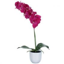 Vepabins Umělá rostlina orchidej Phalaenopsis, fialovozelená, výška 60 cm, Manutan