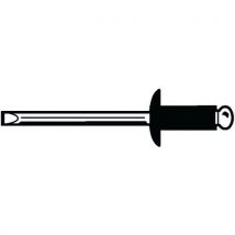 OMNI Trhací nýt s vypouklou hlavou Nerozocel A2 / Nerozocel A2 3,2X8MM, Manutan