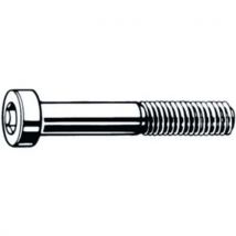 Hexalobular socket head cap screw ISO 14580 Nerezocel A2 50 M3X10, Manutan